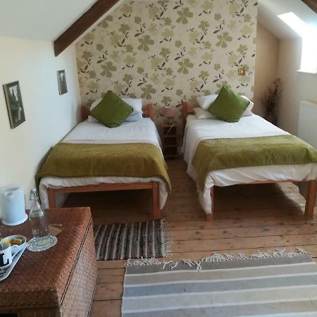 Y Garreg Wen Bed & Breakfast Llanybydder Ngoại thất bức ảnh