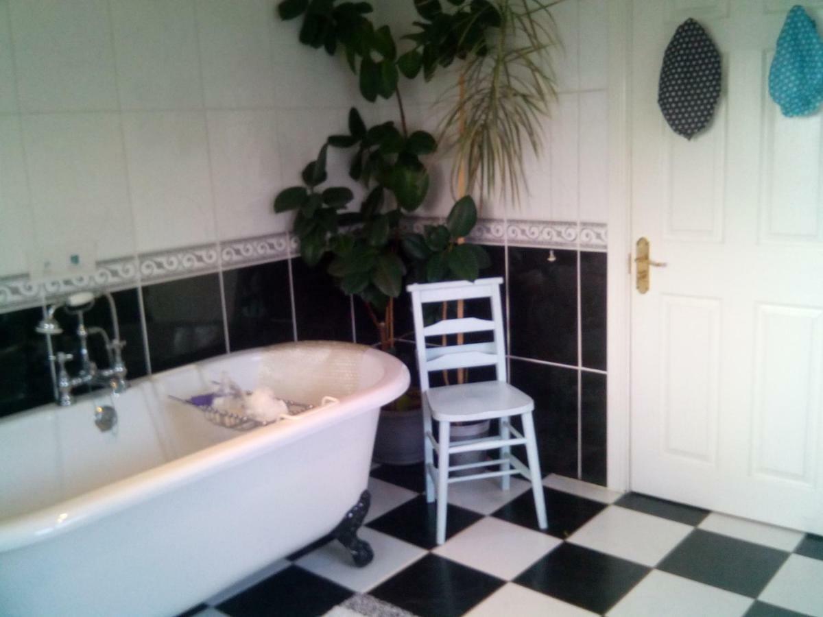 Y Garreg Wen Bed & Breakfast Llanybydder Ngoại thất bức ảnh