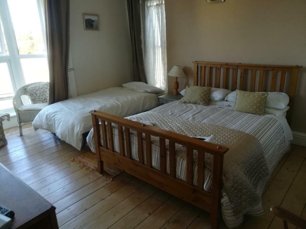 Y Garreg Wen Bed & Breakfast Llanybydder Ngoại thất bức ảnh