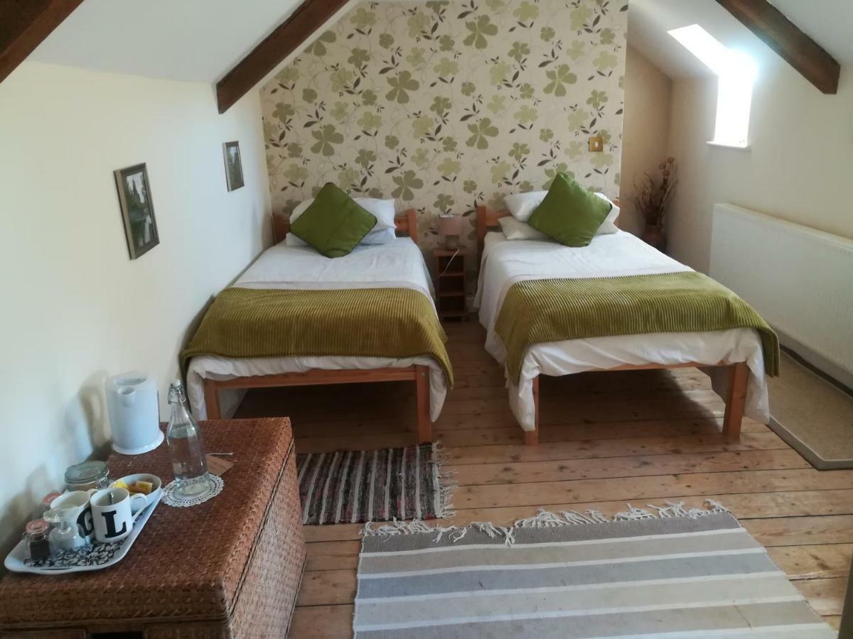 Y Garreg Wen Bed & Breakfast Llanybydder Ngoại thất bức ảnh